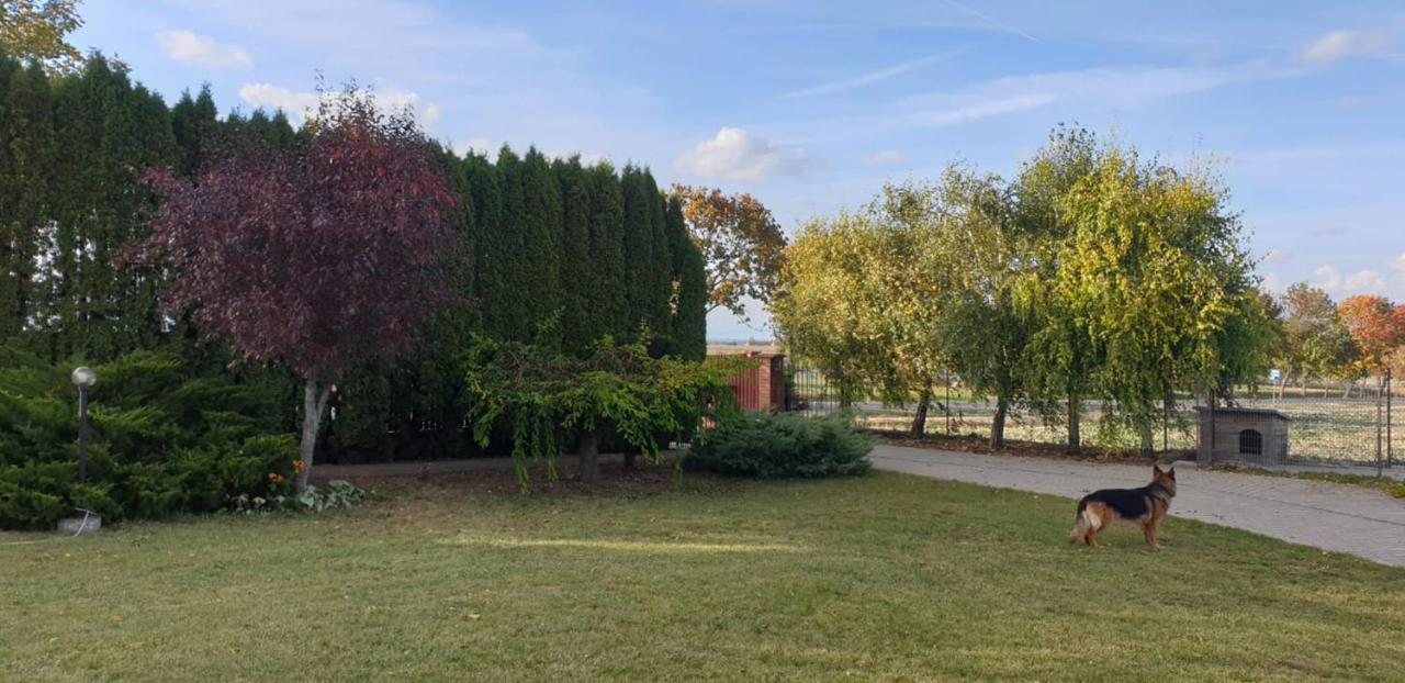 Bialowolskie Wzgorze Zamość Exterior foto